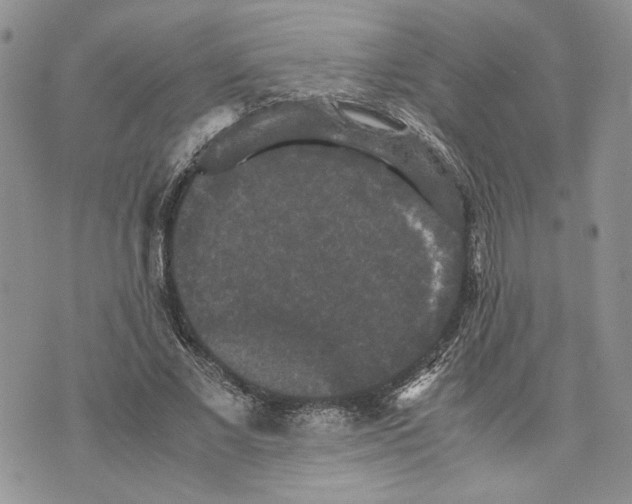 X0000070250685200606301626