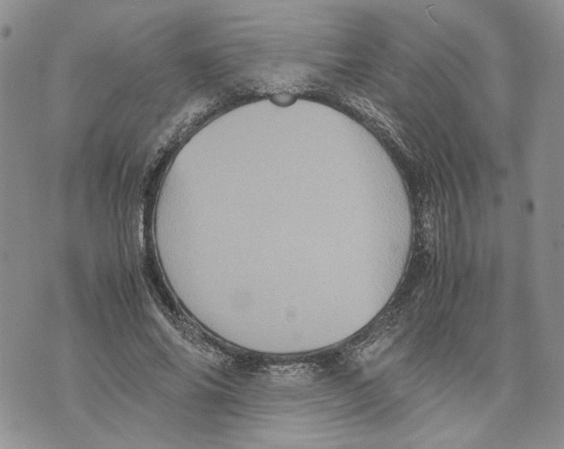 X0000070250686200606301626