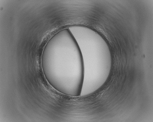 X0000070250688200606301626