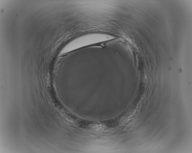 X0000070250689200606301626