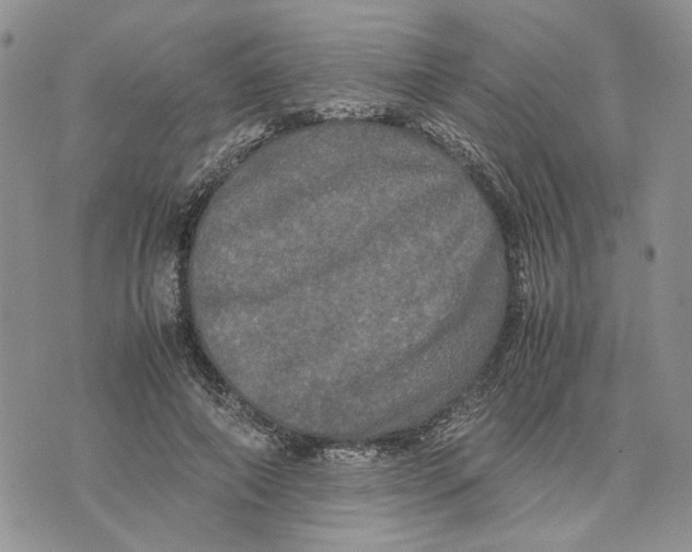 X0000070250690200606301626