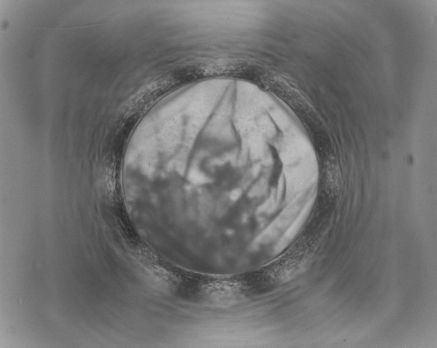 X0000070250691200606301626