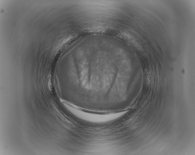 X0000070250692200606301626