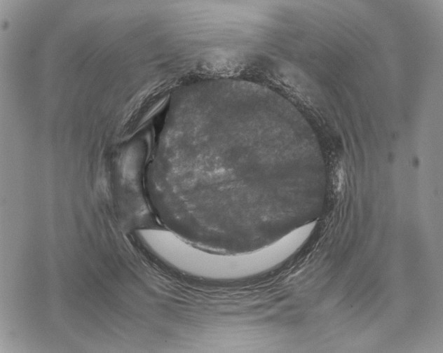 X0000070250693200606301626