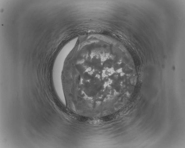 X0000070250695200606301626