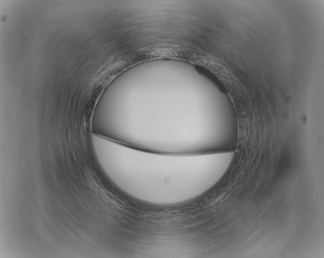 X0000070250696200606301626