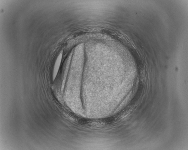 X0000070250697200606301626