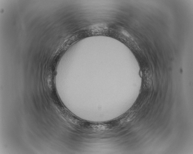 X0000070250698200606301626