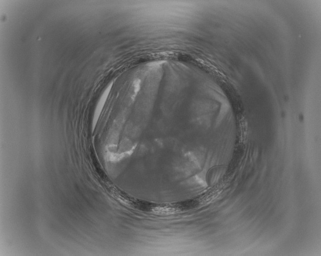 X0000070250699200606301626