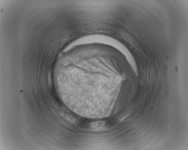 X0000070250700200606301626