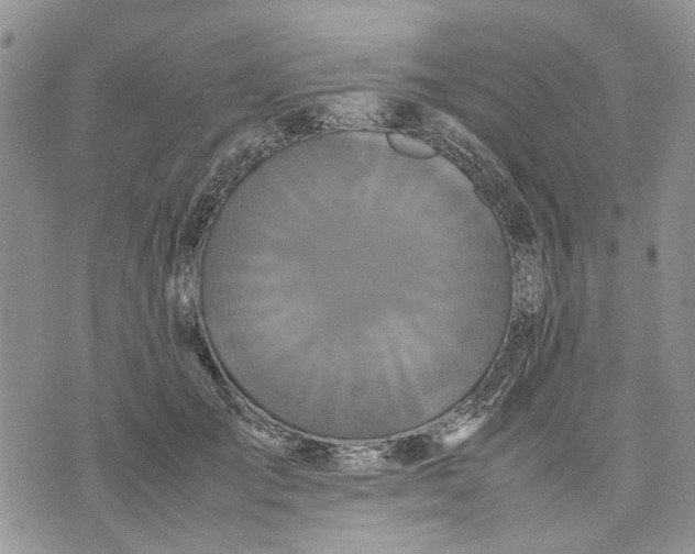 X0000070250701200606301626