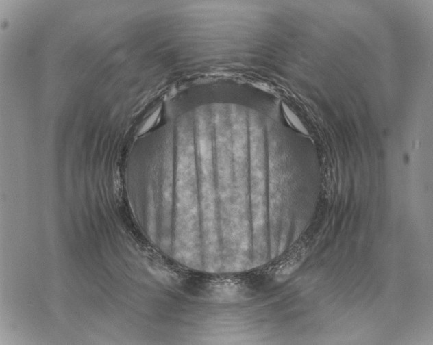 X0000070250704200606301626