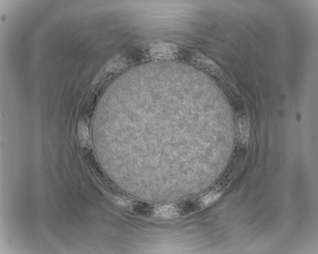 X0000070250705200606301626