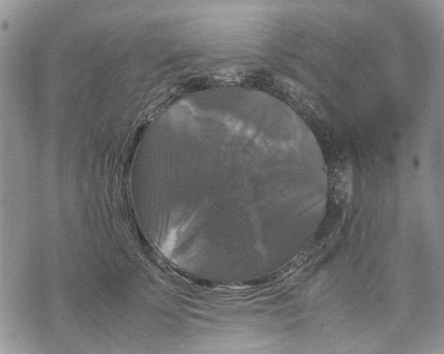 X0000070250707200606301626