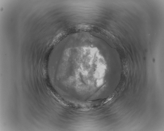 X0000070250708200606301626