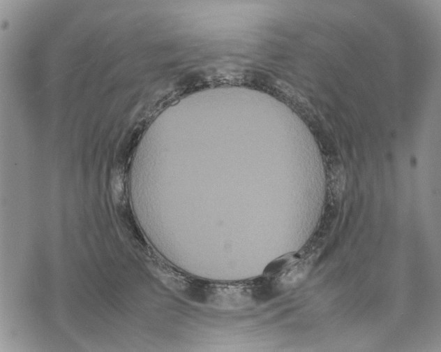 X0000070250709200606301626