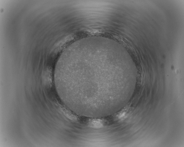 X0000070250710200606301626