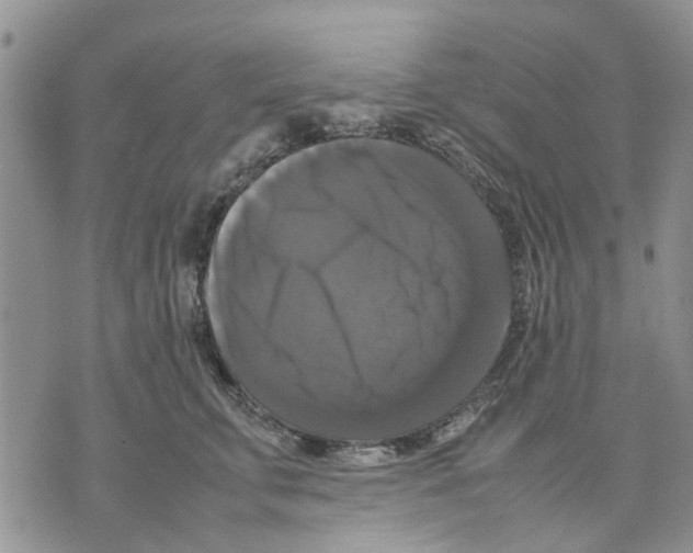 X0000070250711200606301626