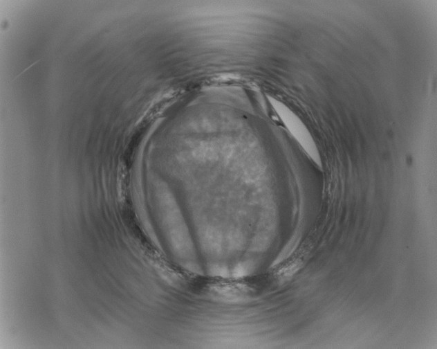 X0000070250712200606301626