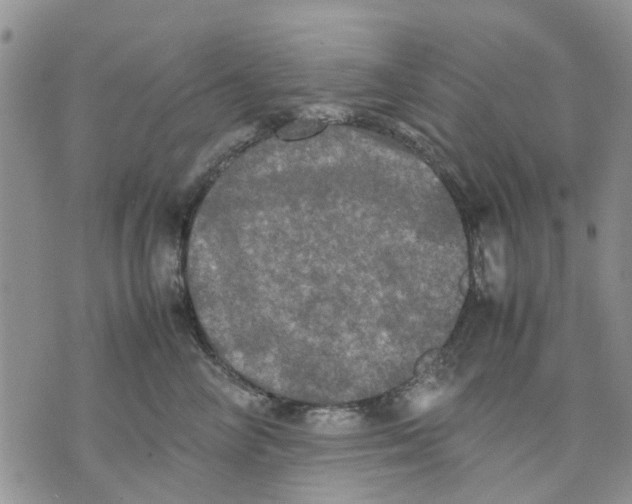 X0000070250714200606301626