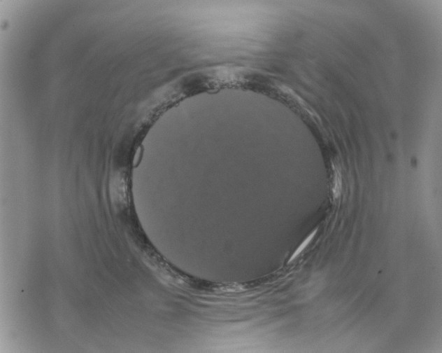 X0000070250715200606301626