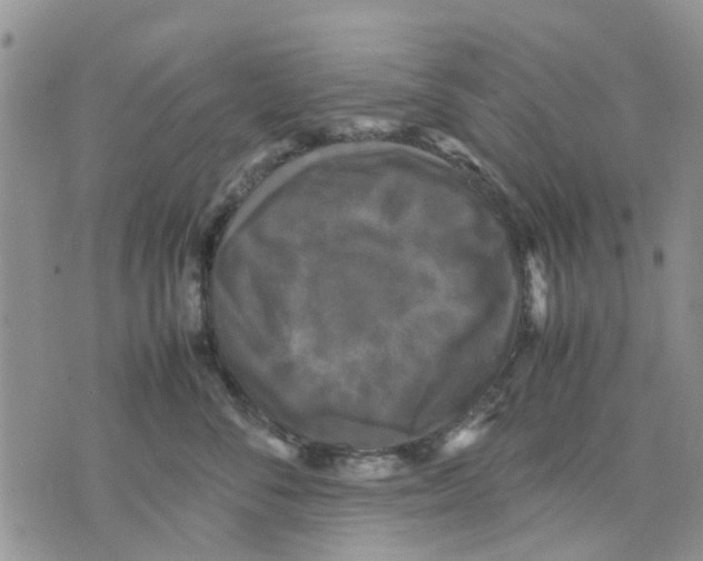 X0000070250716200606301626