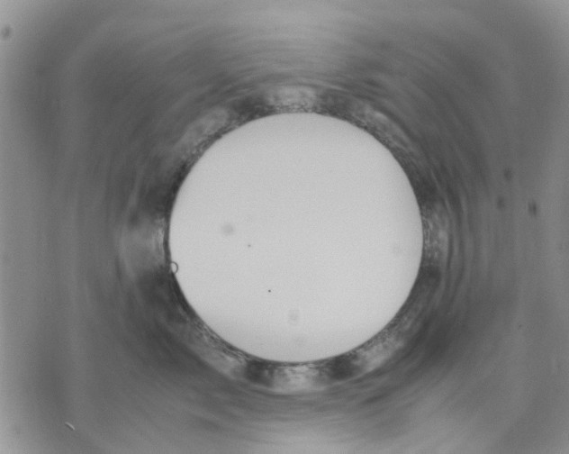 X0000070250717200606301626