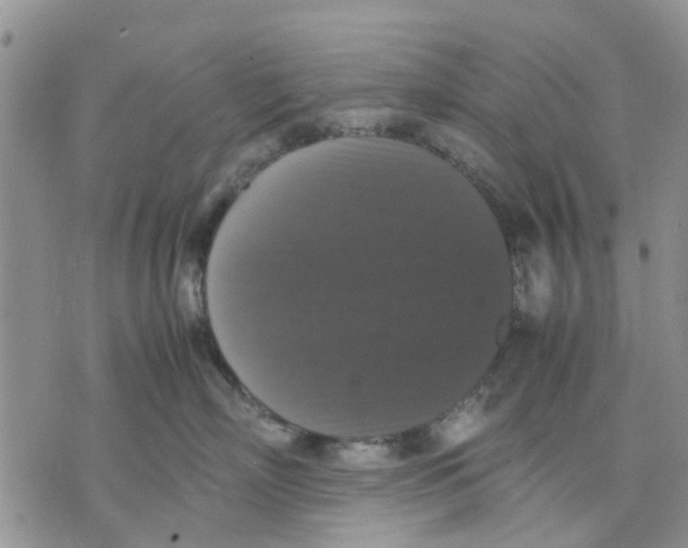 X0000070250718200606301626