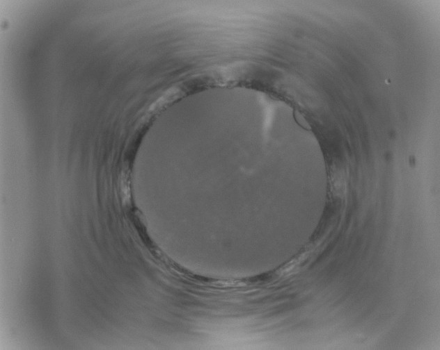 X0000070250719200606301626