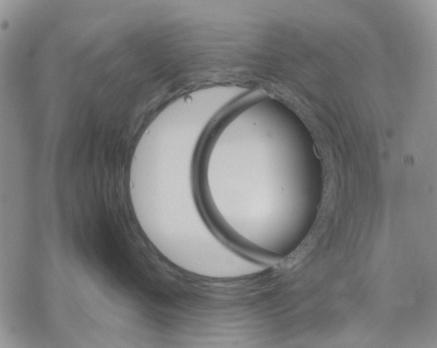 X0000070250720200606301626