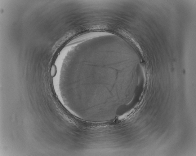 X0000070250721200606301625