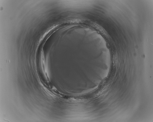 X0000070250722200606301625