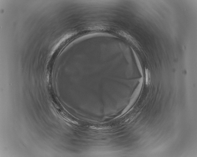 X0000070250723200606301625