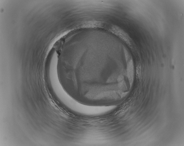 X0000070250724200606301625