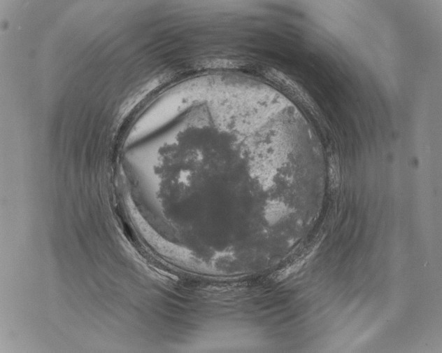 X0000070250725200606301625