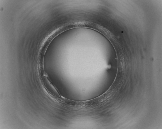 X0000070250728200606301625