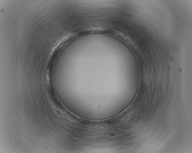 X0000070250731200606301625