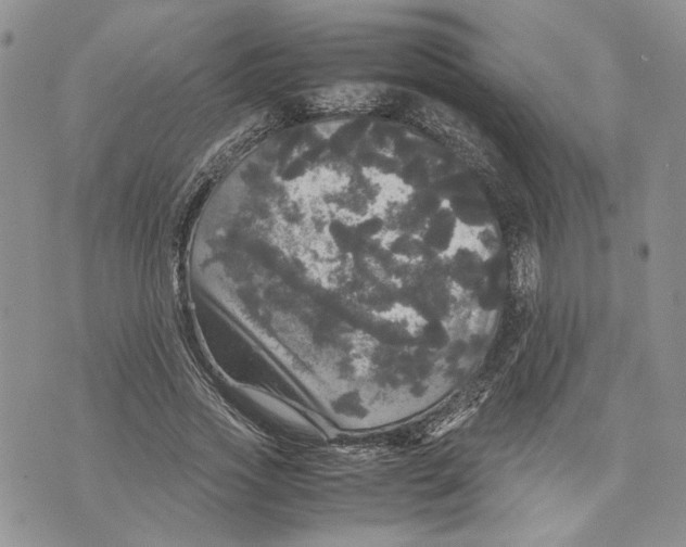 X0000070250733200606301625