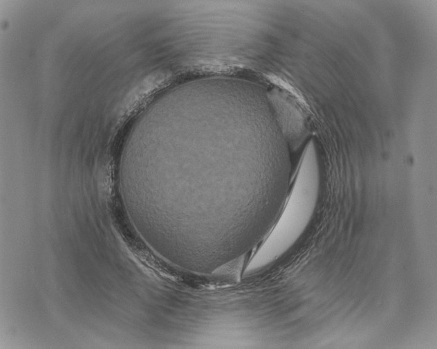 X0000070250736200606301625