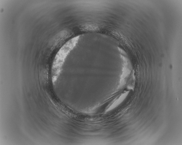 X0000070250739200606301625