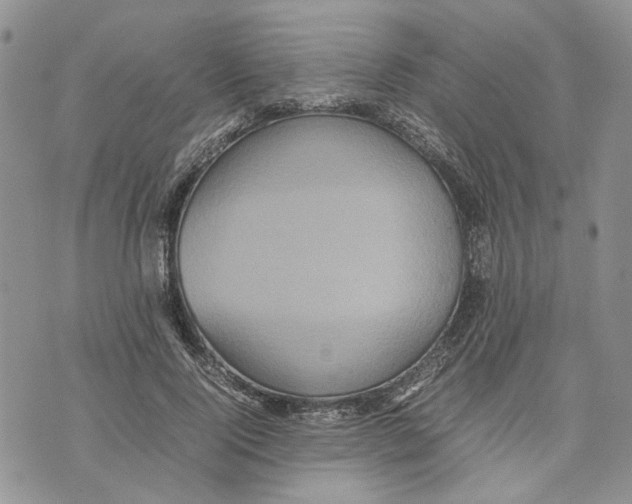 X0000070250740200606301625