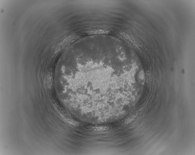 X0000070250741200606301625