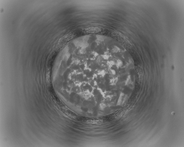 X0000070250745200606301625