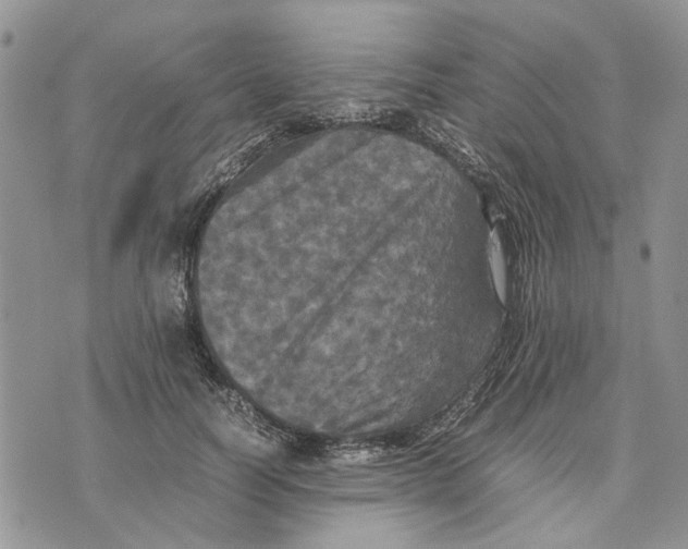 X0000070250746200606301625