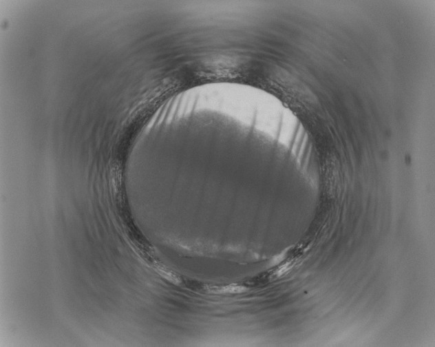 X0000070250747200606301625