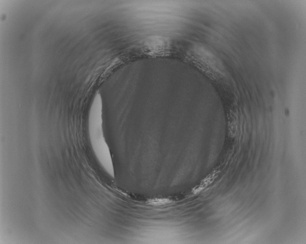 X0000070250748200606301625