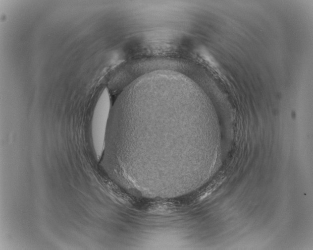 X0000070250750200606301625