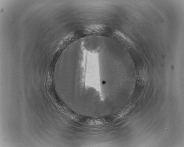 X0000070250751200606301625