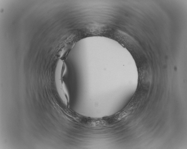 X0000070250752200606301625