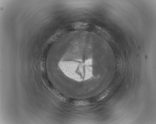 X0000070250755200606301625